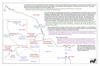 coo1f02 new guinea_thumb.gif